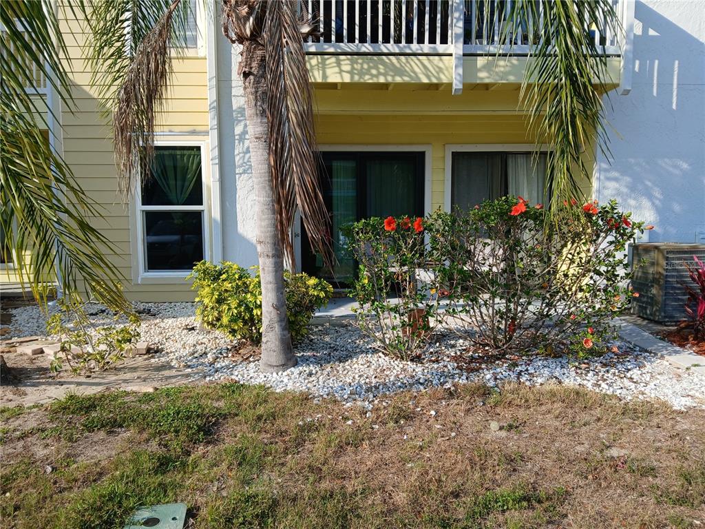 A palm tree and flowering shrubs sit in front of a yellow building's patio area — 455 ALT 19 S UNIT 121, PALM HARBOR, FL