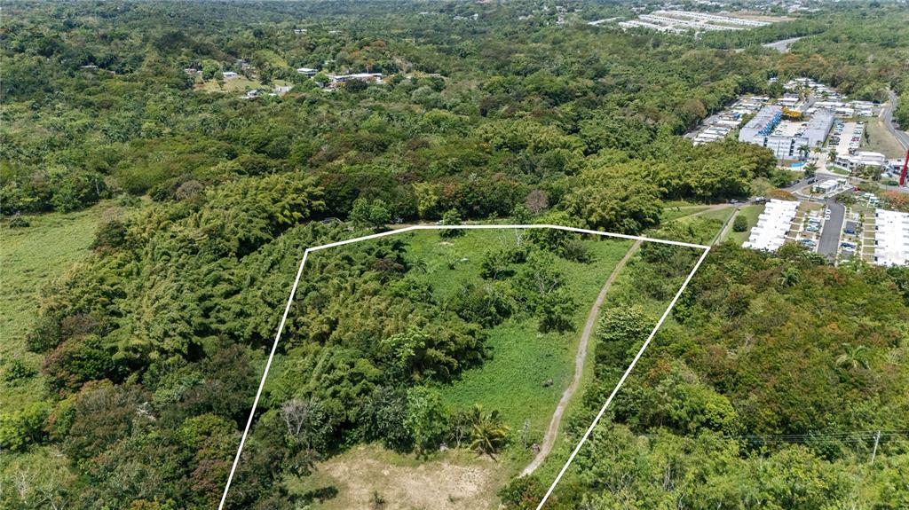 An aerial view shows a large, undeveloped green lot adjacent to a residential neighborhood — 956 GUZMAN ABAJO, RIO GRANDE, PR