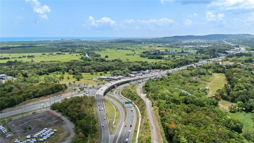 An aerial view shows a dense, wooded forest with a small structure and dirt paths — 956 GUZMAN ABAJO, RIO GRANDE, PR