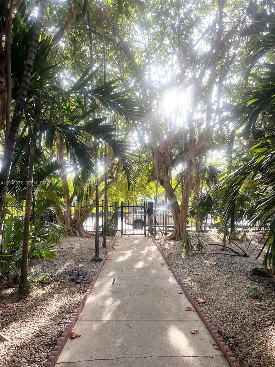 A concrete walkway leads through a tree-lined area toward a metal gate and parking lot — 7899 NE Bayshore Ct # 6A, Miami FL 33138, MIAMI, FL
