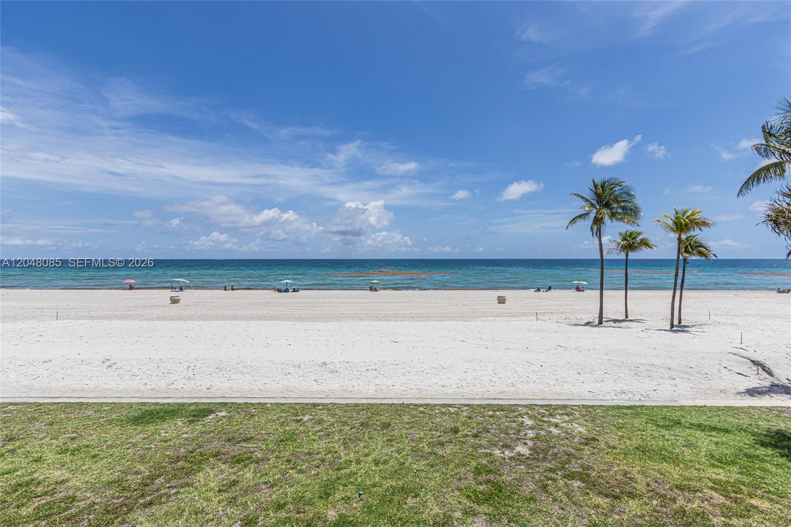 A wide sandy beach with palm trees overlooks the ocean under a blue sky — 1801 S Surf Rd # 2G, Hollywood FL 33019, HOLLYWOOD, FL