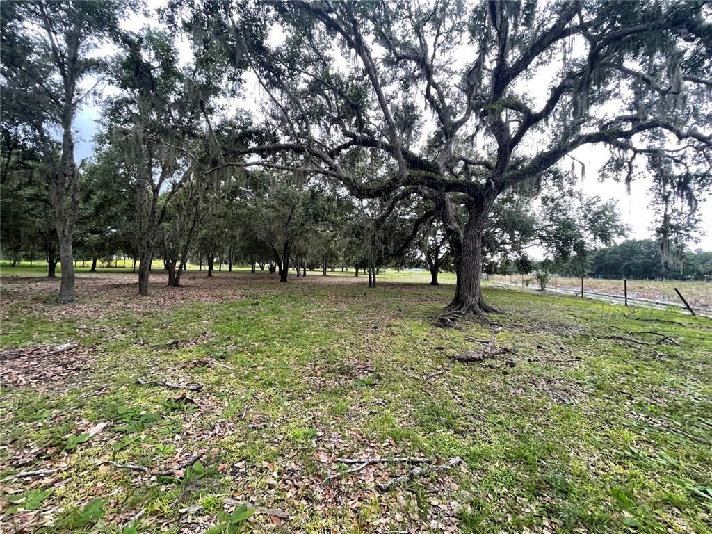 A grassy lot features numerous large, mature oak trees draped with Spanish moss — 5187 DEER RUN DRIVE, ZOLFO SPRINGS, FL