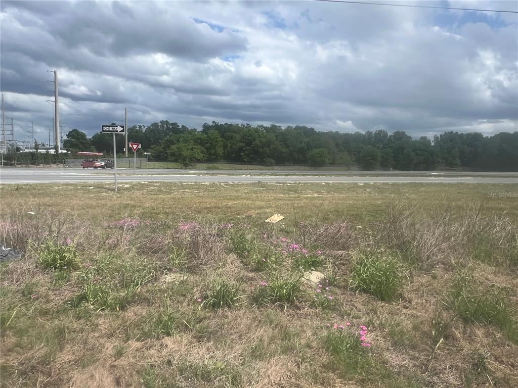 An empty, grassy lot faces a paved road with a one-way sign and trees — 00 S US HWY 301, SUMMERFIELD, FL