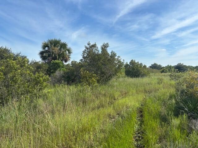 A grassy field with scattered shrubs and a palm tree under a blue sky — 0 NW 310th Street, Okeechobee FL 34972, OKEECHOBEE, FL