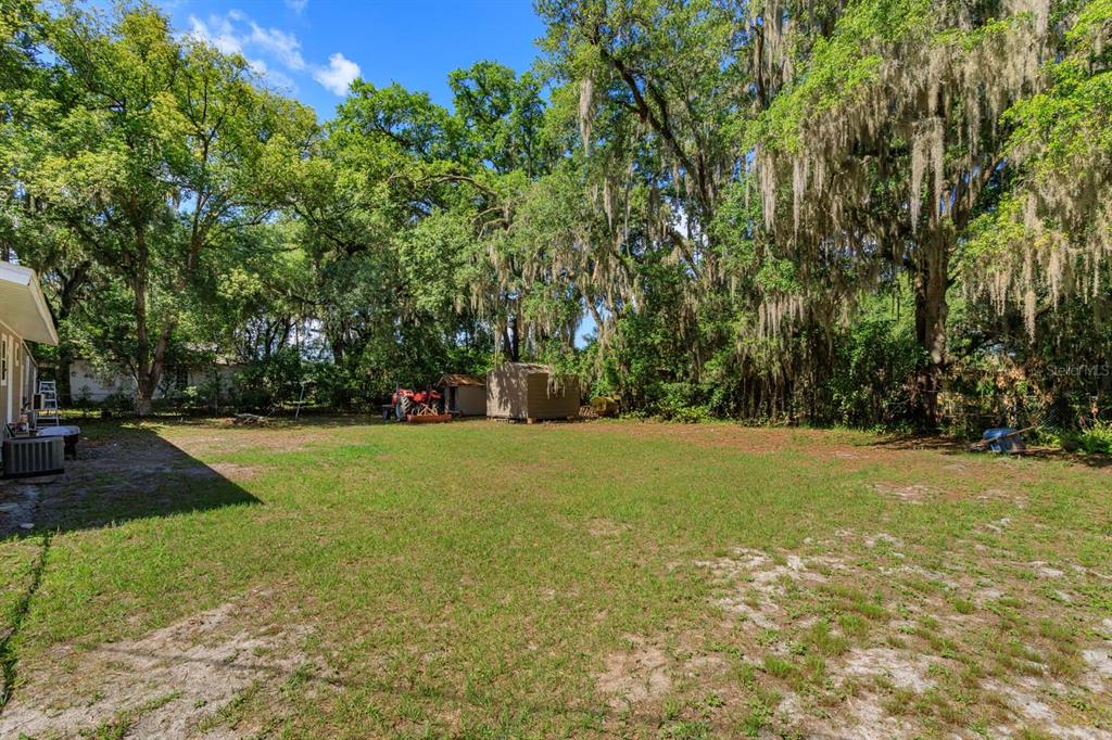 A large, grassy backyard features mature trees with Spanish moss and two small storage sheds — 2820 MAGNOLIA AVENUE, SANFORD, FL