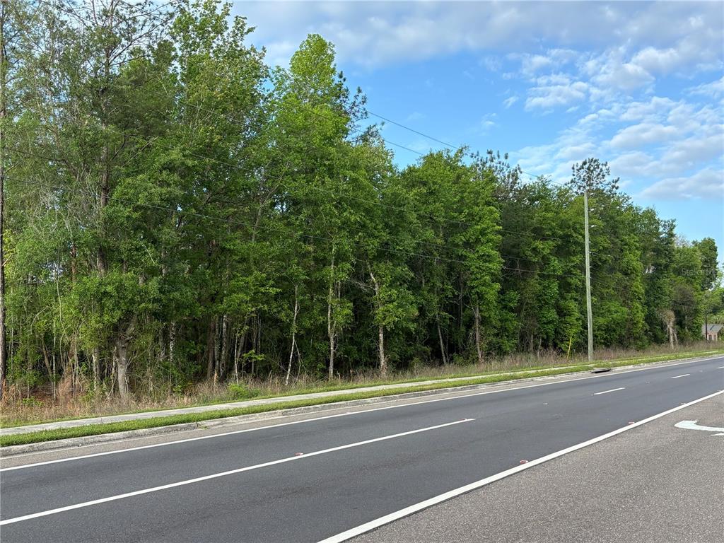 A paved road runs alongside a wooded lot with a sidewalk and utility poles — SE HAWTHORNE ROAD, HAWTHORNE, FL