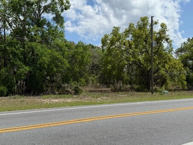 A view of a vacant, tree-covered lot adjacent to a paved road — 8655 S FLORIDA AVENUE, FLORAL CITY, FL