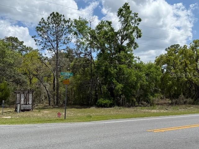 A street corner features a road sign, a wooden trellis structure, and dense trees — 8655 S FLORIDA AVENUE, FLORAL CITY, FL