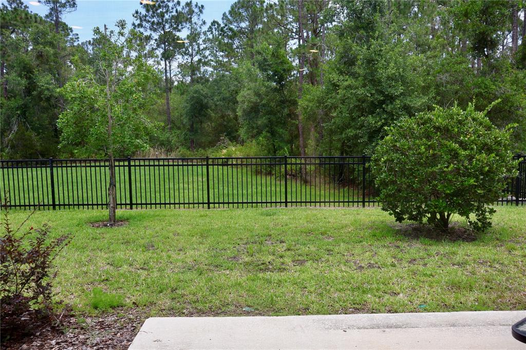 A backyard features a green lawn, a black metal fence, and surrounding trees — 3635 DAVENPORT CREEK COURT, KISSIMMEE, FL