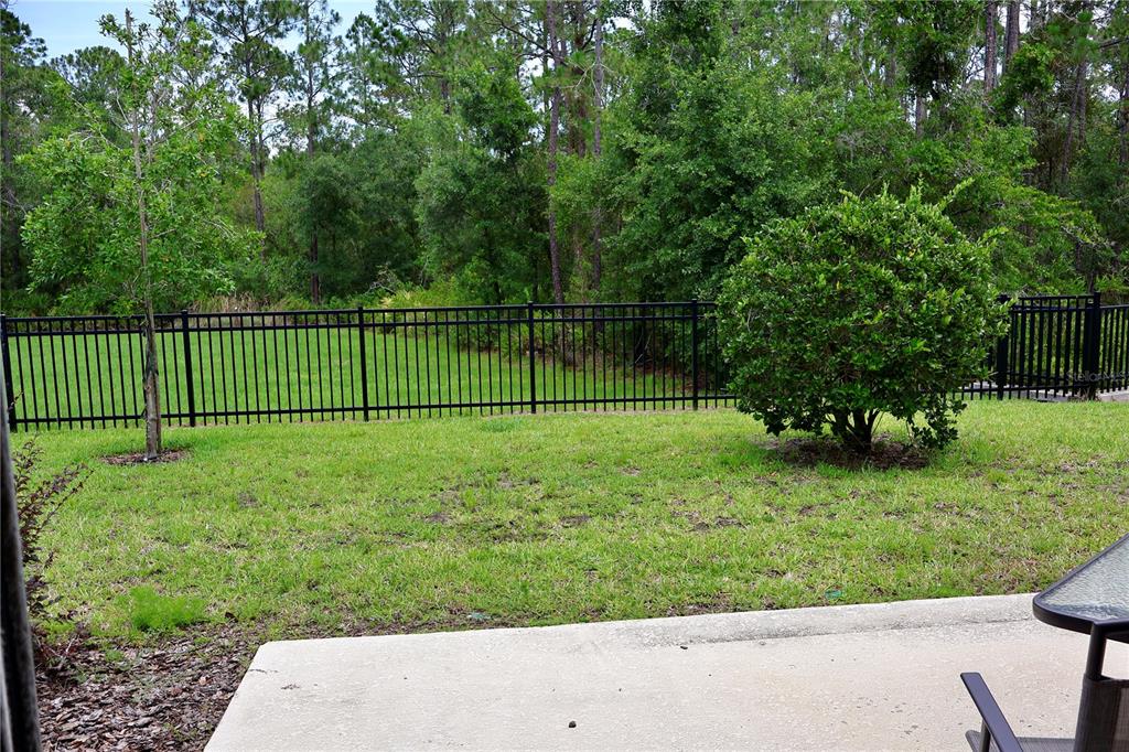 A backyard with a concrete patio, green lawn, black metal fence, and surrounding trees — 3635 DAVENPORT CREEK COURT, KISSIMMEE, FL