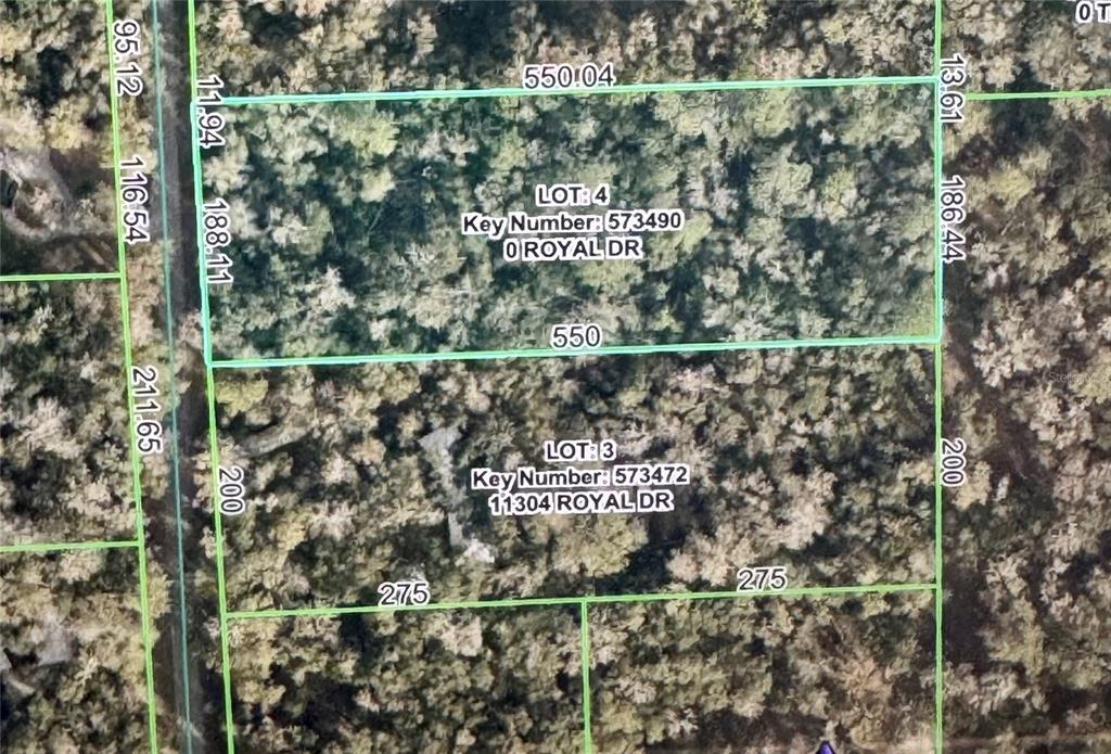 A paved road runs in front of a wooded lot with many trees and Spanish moss — 11330 ROYAL DRIVE, BROOKSVILLE, FL