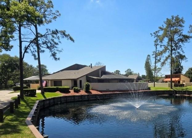 A house with a multi-level roof sits beside a pond featuring a water fountain — 5003 UMBER WAY S, TAMPA, FL