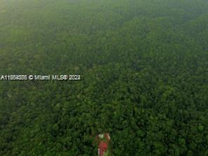 An aerial view shows a small building nestled within a dense, green forest — Sabanita, Puerto Pilon, Santa Rita Arriba, FL, FL