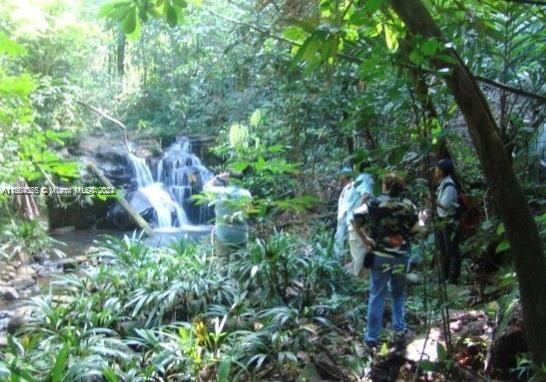 A small waterfall flows into a stream in a lush, wooded area with several people nearby — Sabanita, Puerto Pilon, Santa Rita Arriba, FL, FL