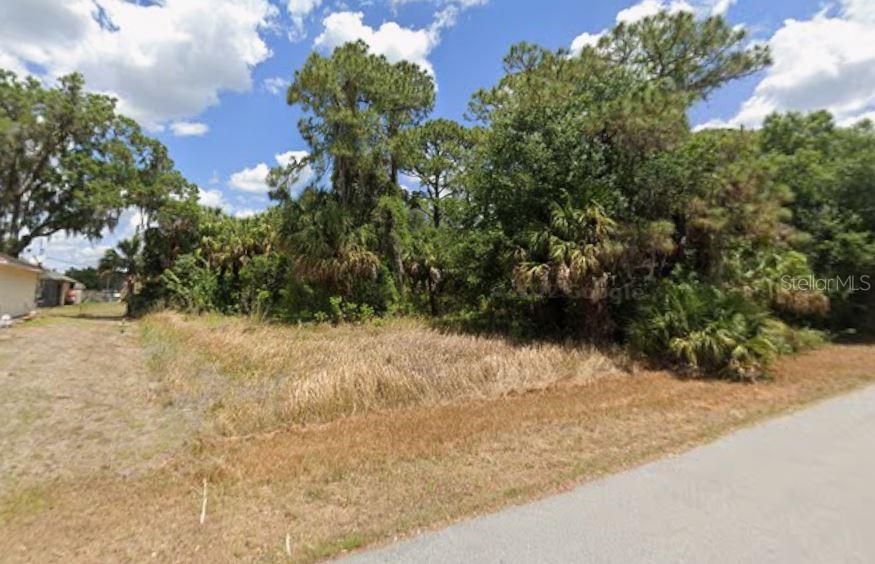 A vacant, grassy lot with dense trees and vegetation sits beside a paved road — 14464 COBB AVENUE, PORT CHARLOTTE, FL