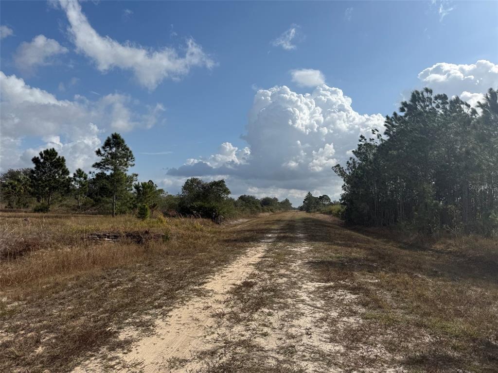 A dirt path leads through a grassy, wooded landscape under a cloudy blue sky — 16375 NW 314TH STREET, OKEECHOBEE, FL