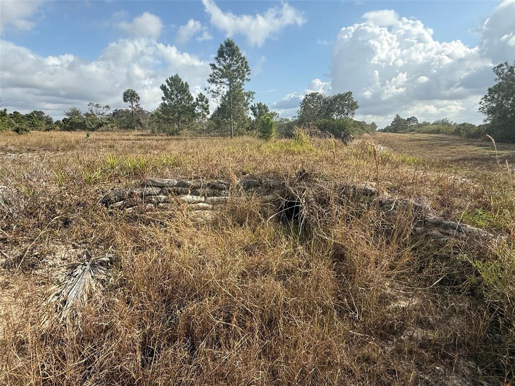 An outdoor view shows a low, stacked-stone retaining wall surrounded by tall, dry grass — 16375 NW 314TH STREET, OKEECHOBEE, FL