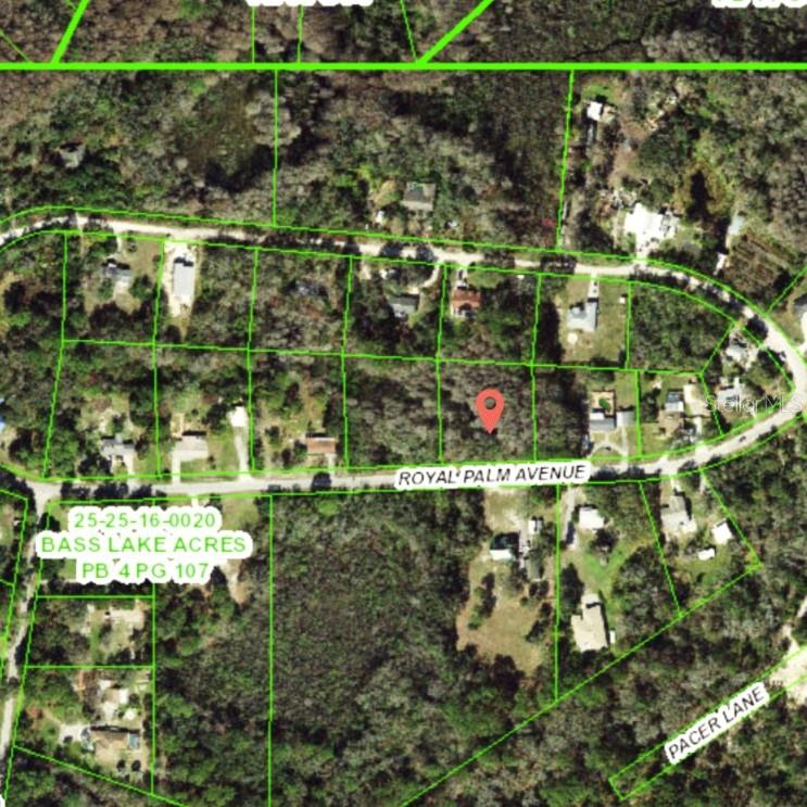 This is an aerial map showing a vacant lot marked with a pin in a neighborhood — 9805 ROYAL PALM AVENUE, NEW PORT RICHEY, FL
