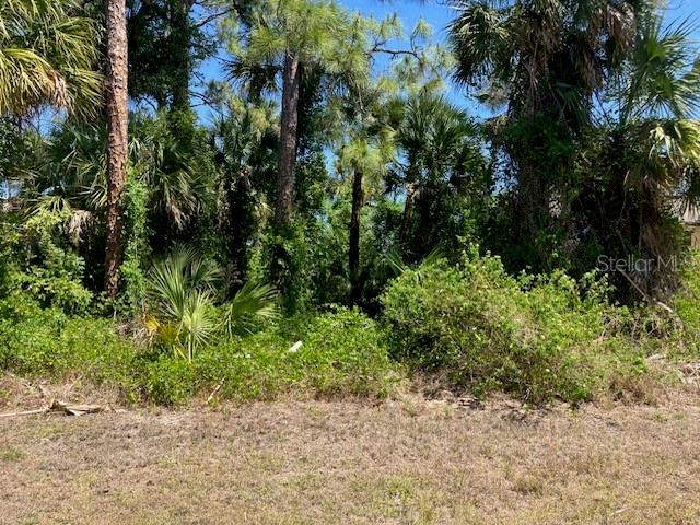 A wooded lot with dense vegetation and tall trees under a clear blue sky — 5016 TREASURE LANE, LABELLE, FL