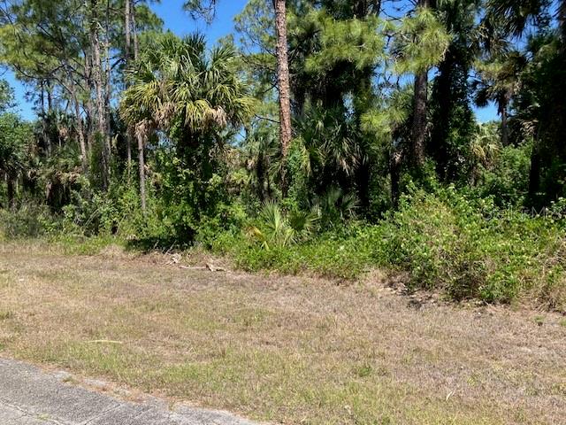 A vacant, grassy lot is bordered by a dense thicket of trees and palm plants — 5016 TREASURE LANE, LABELLE, FL