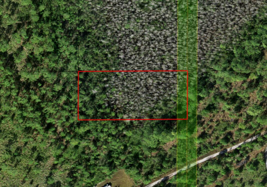 An aerial view shows a rectangular plot of land outlined in red within a wooded area — 0 Holopaw Groves Road, FL 34772, FL
