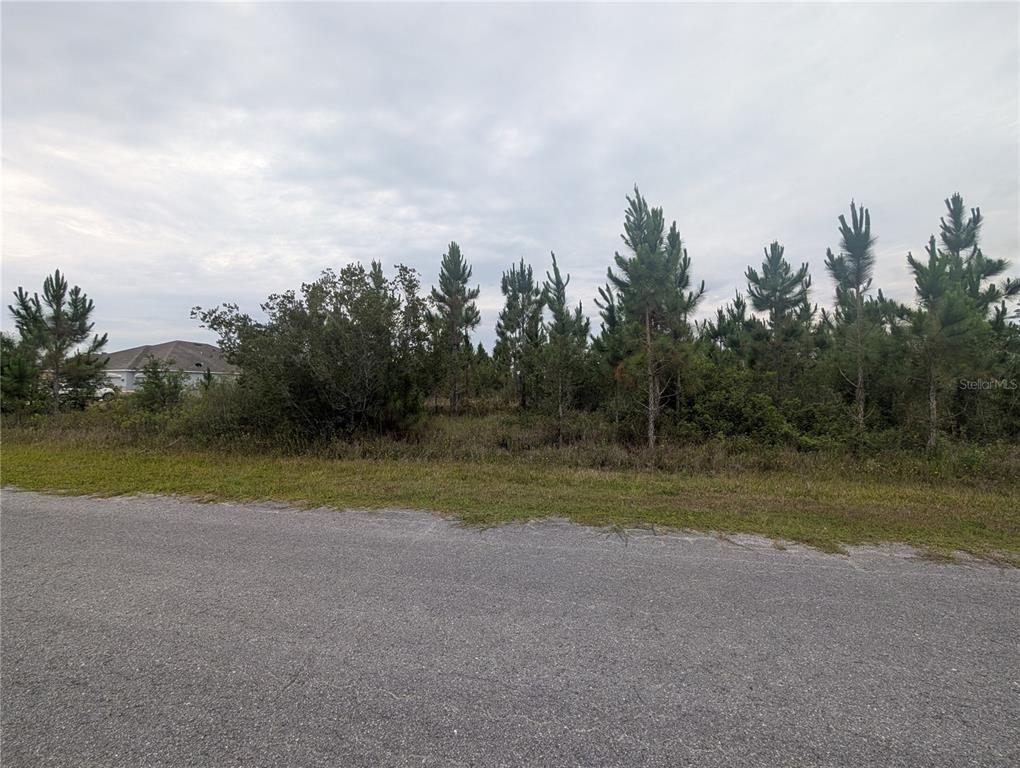 A paved road runs in front of a vacant, wooded lot under a cloudy sky — 221 TROPICANA DRIVE, INDIAN LAKE ESTATES, FL