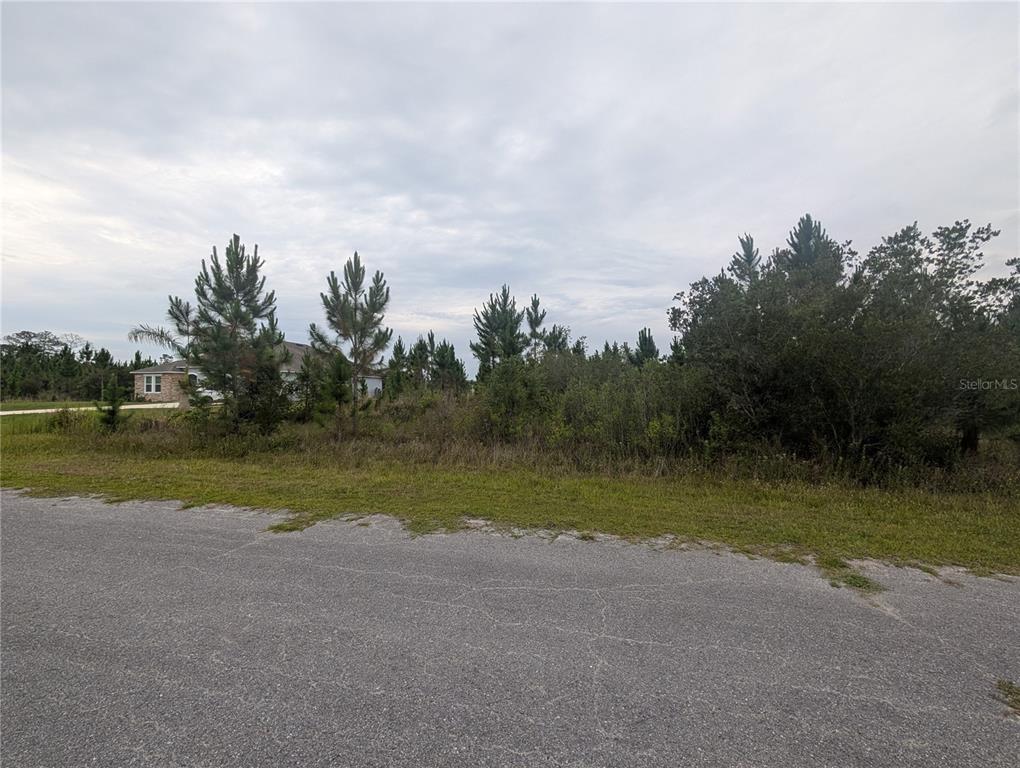A vacant, wooded residential lot sits adjacent to a paved road and a nearby house — 221 TROPICANA DRIVE, INDIAN LAKE ESTATES, FL