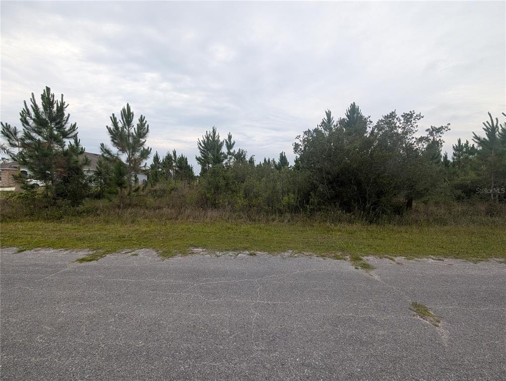 A vacant, wooded residential lot sits adjacent to a paved road and a nearby house — 221 TROPICANA DRIVE, INDIAN LAKE ESTATES, FL