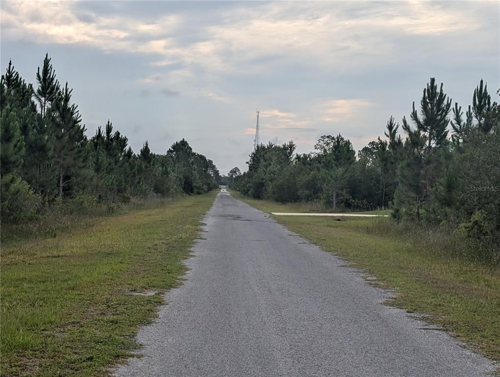 A narrow paved road stretches into the distance through a wooded, grassy landscape — 221 TROPICANA DRIVE, INDIAN LAKE ESTATES, FL