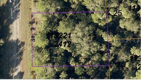 This is an aerial map showing the property boundaries of a wooded, undeveloped rectangular lot — IRONSIDE STREET, NORTH PORT, FL