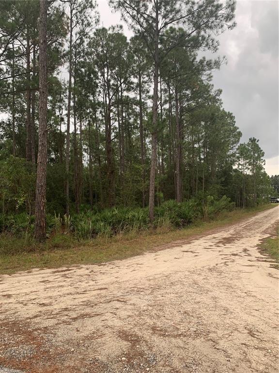 OIL WELL ROAD, CLERMONT, FL — photo 2 of 14
