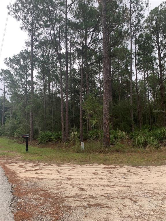 OIL WELL ROAD, CLERMONT, FL — photo 3 of 14