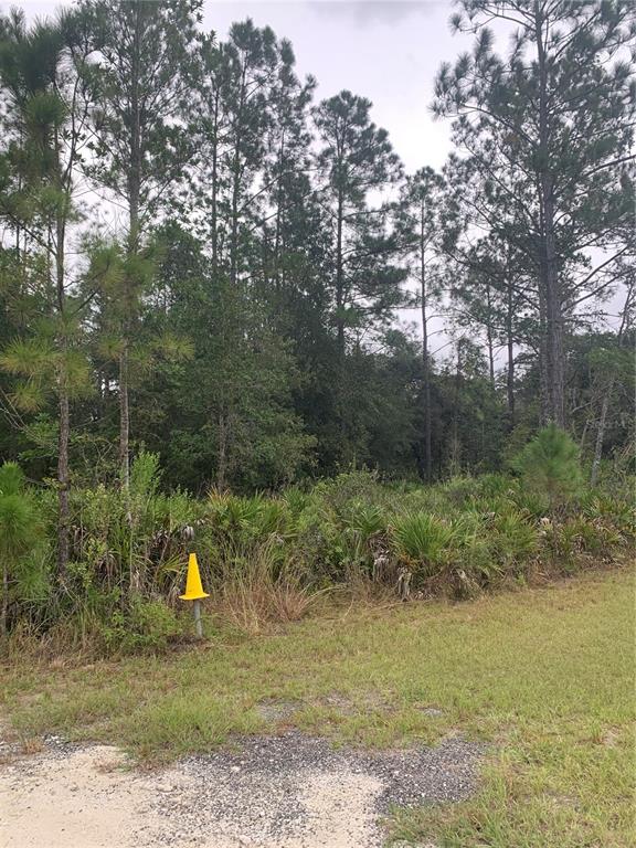 OIL WELL ROAD, CLERMONT, FL — photo 4 of 14