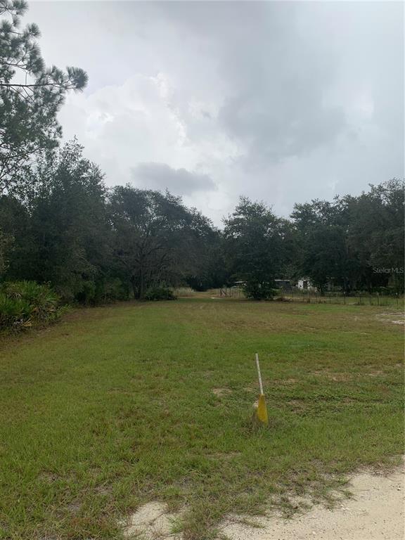 OIL WELL ROAD, CLERMONT, FL — photo 5 of 14