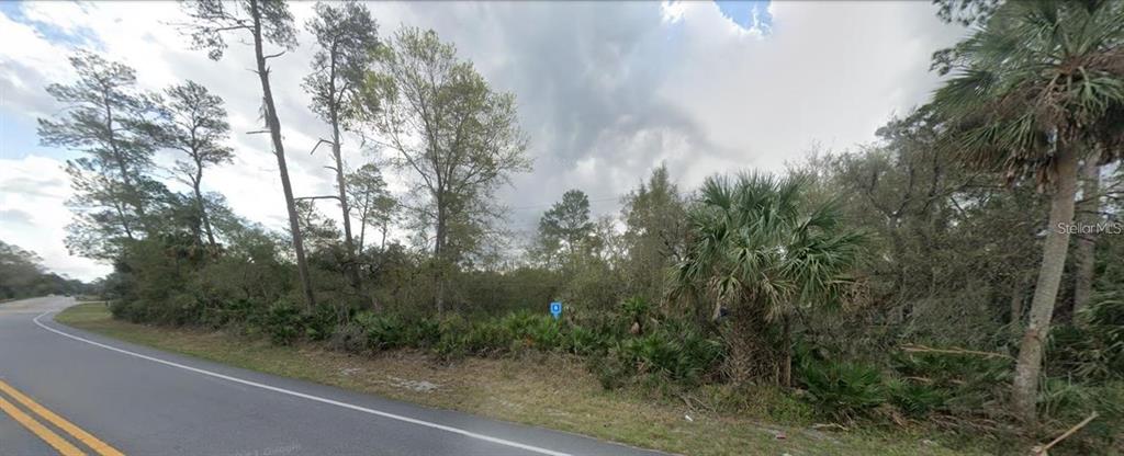 A view of a wooded, undeveloped lot along a paved road — 27654 COUNTY ROAD 42, PAISLEY, FL