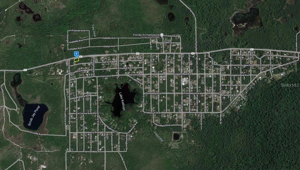 This is an aerial map view of a residential neighborhood surrounding Lake Kathryn — 27654 COUNTY ROAD 42, PAISLEY, FL
