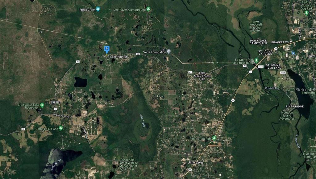 This is a satellite map view of a rural area featuring lakes and forest land — 27654 COUNTY ROAD 42, PAISLEY, FL