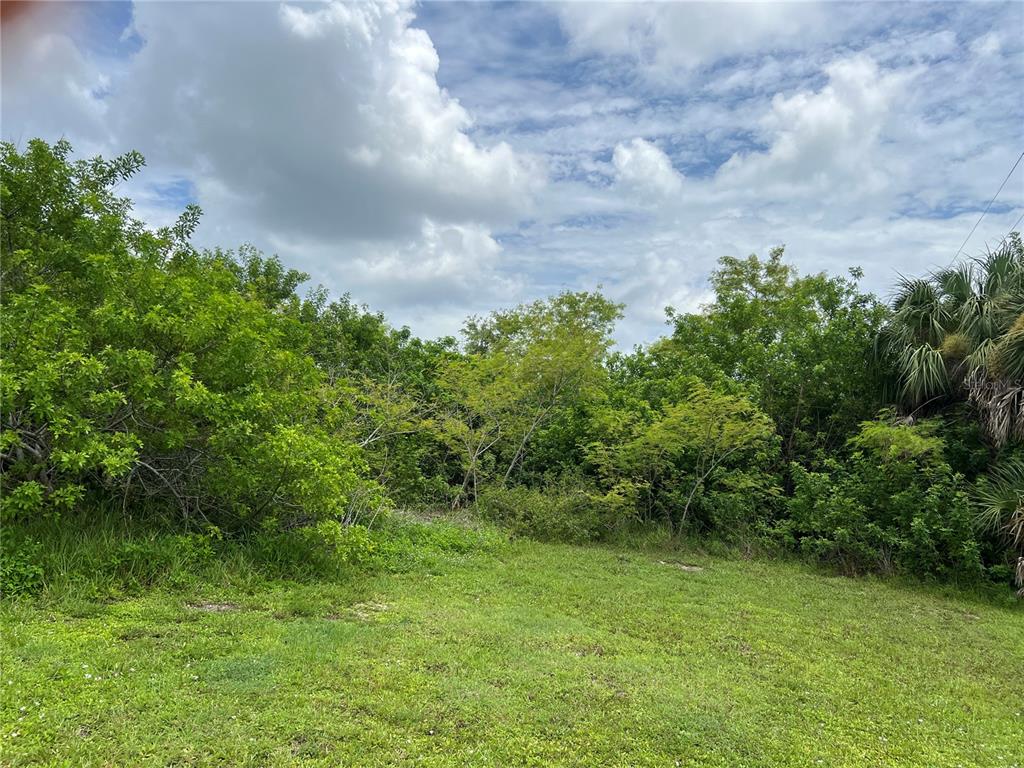 A grassy, partially cleared lot is bordered by dense trees and vegetation under a cloudy sky — 9272 ARRID CIRCLE, PORT CHARLOTTE, FL