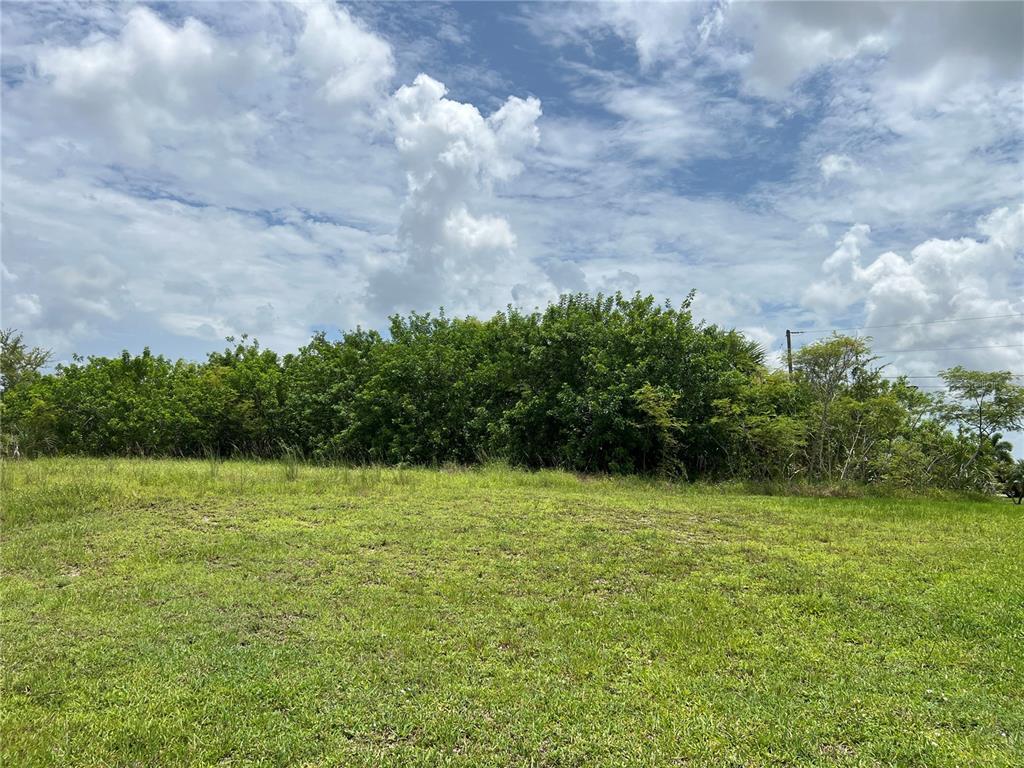 A grassy, undeveloped lot features a dense line of trees under a cloudy blue sky — 9272 ARRID CIRCLE, PORT CHARLOTTE, FL