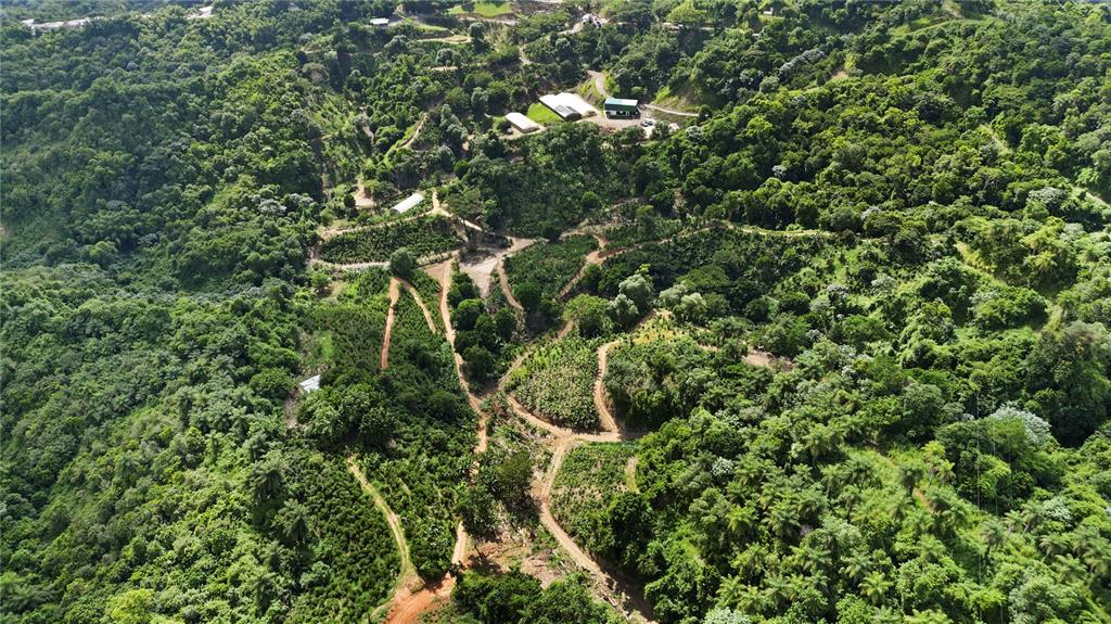 An aerial view shows a rural property with buildings nestled among dense, hilly green forests — Bo. Hoyos Planes CARR. 531 KM  HM7, JAYUYA, PR