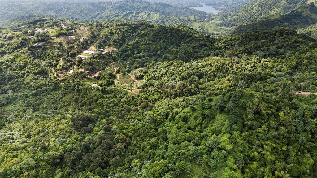 An aerial view shows a dense, hilly, forested landscape with scattered houses and a distant lake — Bo. Hoyos Planes CARR. 531 KM  HM7, JAYUYA, PR
