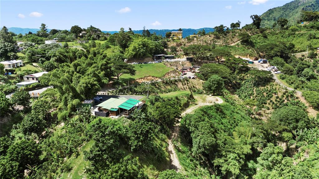 An aerial view shows a house with a green roof nestled in a lush hillside — Bo. Hoyos Planes CARR. 531 KM  HM7, JAYUYA, PR