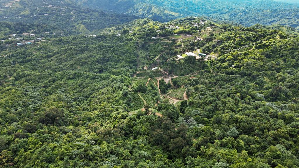 An aerial view shows a hilly, forested landscape with scattered houses and winding dirt paths — Bo. Hoyos Planes CARR. 531 KM  HM7, JAYUYA, PR