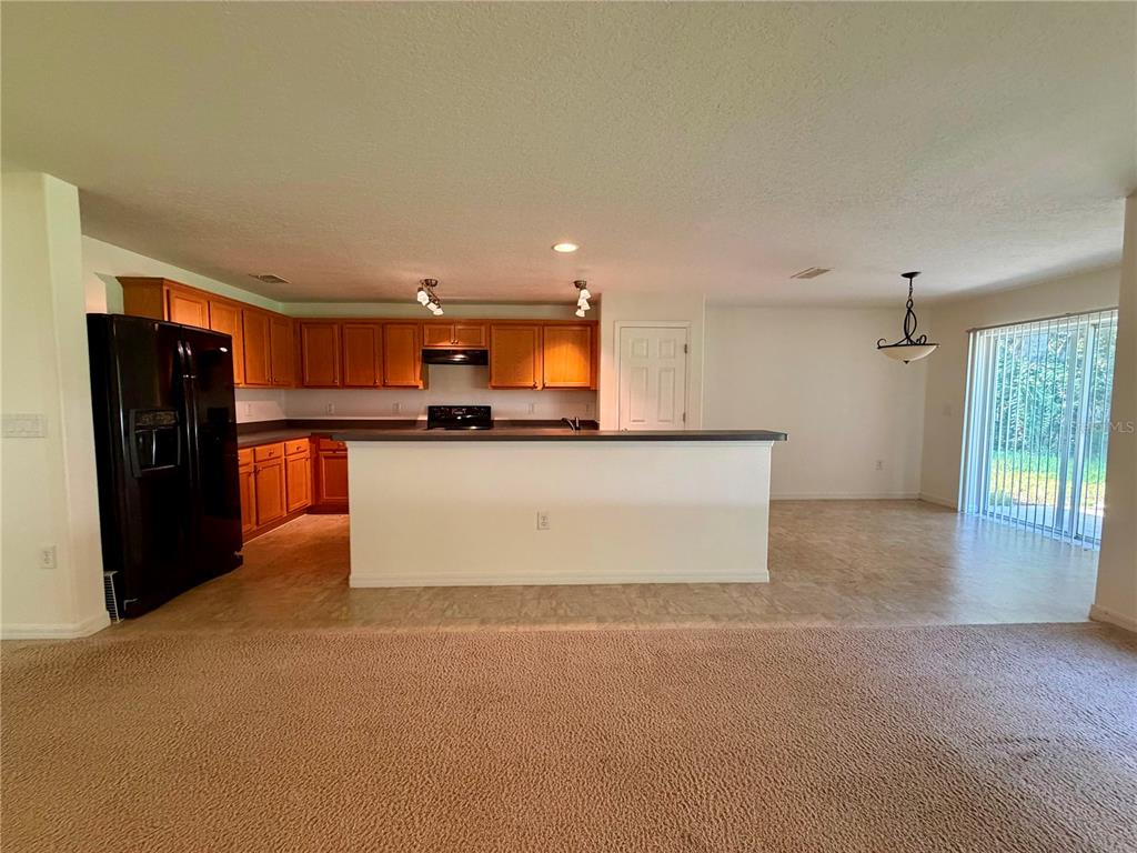 A concrete driveway runs alongside a grassy lawn leading toward a house with a garage — 2626 BREEZY MEADOW ROAD, APOPKA, FL