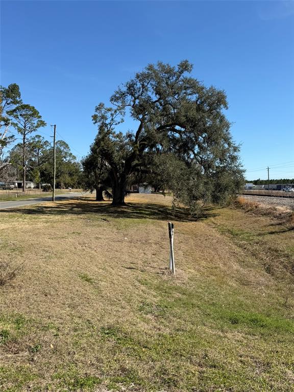 A large oak tree stands in a grassy field next to a road and railroad tracks — 12776 RAILROAD STREET, LIVE OAK, FL
