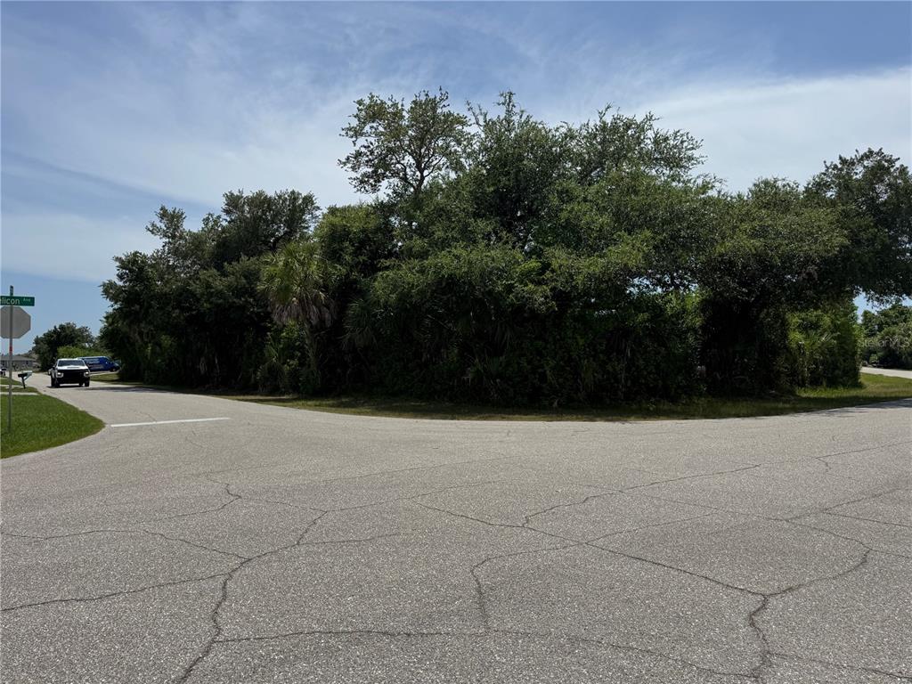 A paved road intersection meets a dense, wooded lot under a bright blue sky — 7251 FINNEGAN STREET, PORT CHARLOTTE, FL