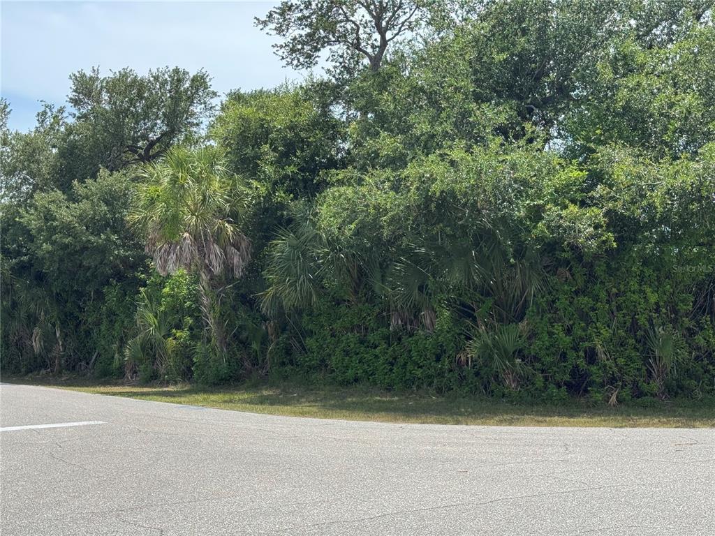 A paved road curves in front of a dense, wooded lot with various trees — 7251 FINNEGAN STREET, PORT CHARLOTTE, FL