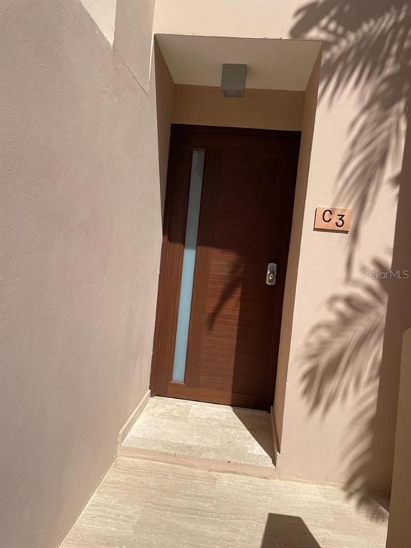 A wooden front door with a vertical glass panel is labeled C3 on a wall — 170 PALMAS DRIVE UNIT C3, HUMACAO, PR