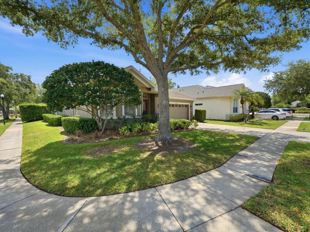 A single-story house with a tan exterior, a two-car garage, and a large front tree — 19409 GOLDEN SLIPPER PLACE, LUTZ, FL