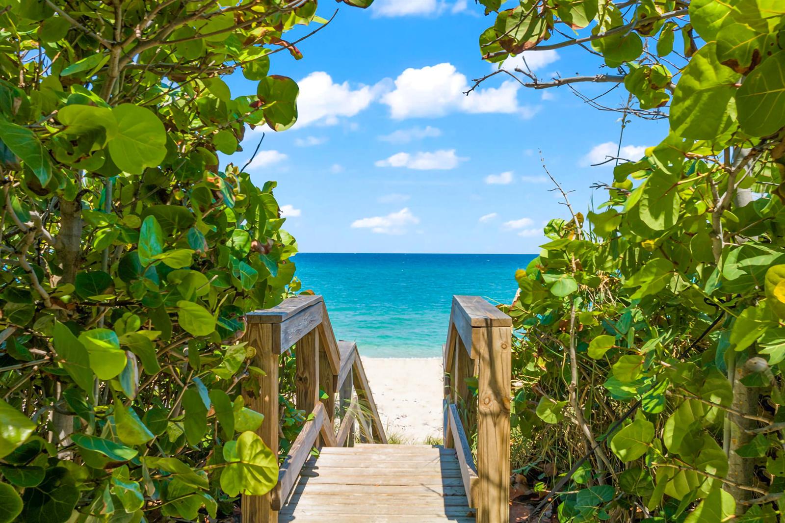 A wooden staircase leads through lush green foliage to a sandy beach and the ocean — 22 Hudson Avenue, Ocean Ridge FL 33435, OCEAN RIDGE, FL